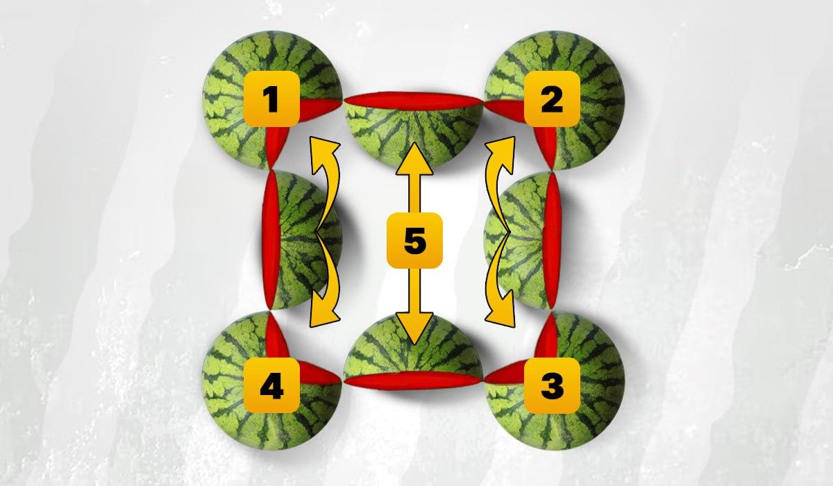 Das Bild zeigt 5 Wassermelonen / Moje illustration
