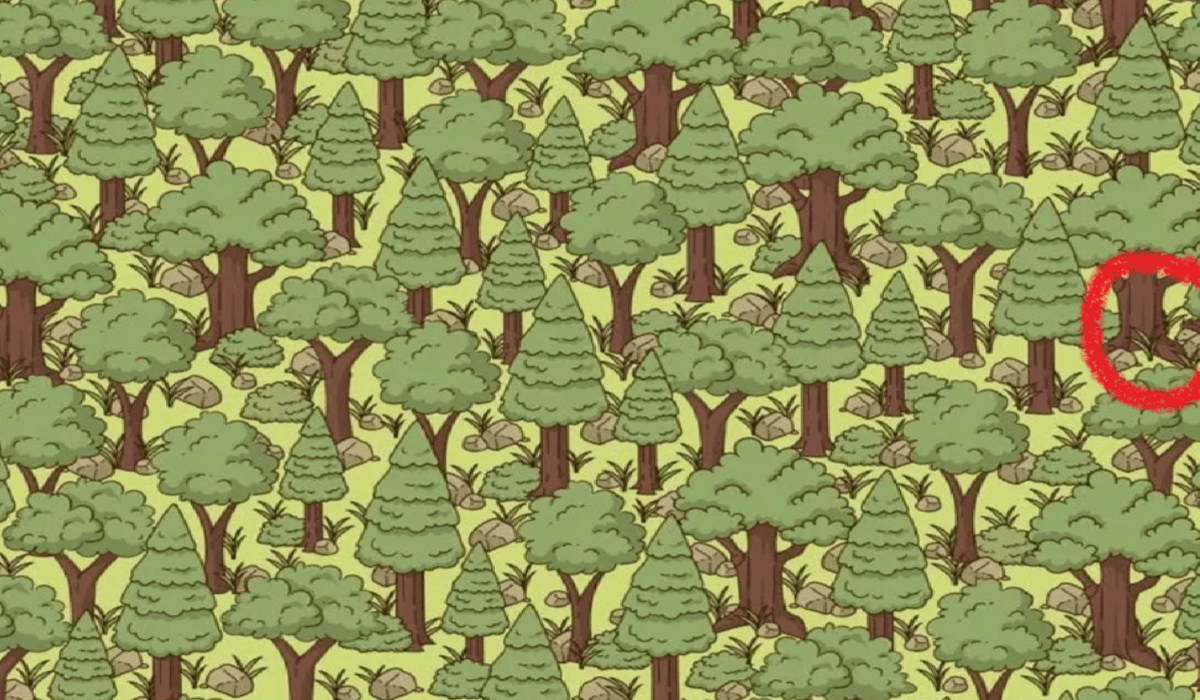 Foto von Jagran Josh