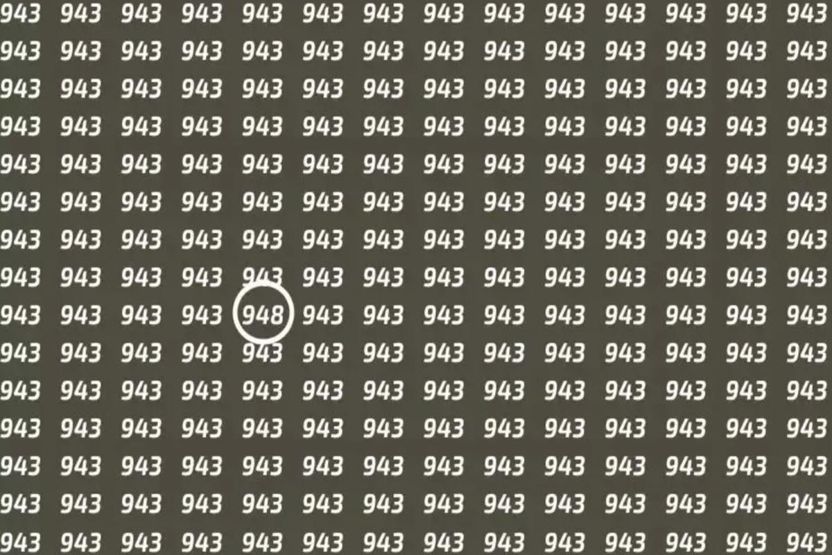 Versuchen Sie, die Zahl 948 zu finden