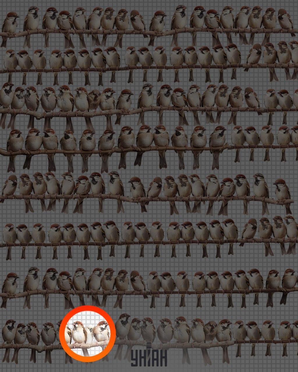 Antwort / Foto von Moje