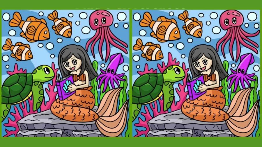 Rätsel / Fresherslive