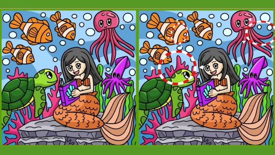 Lösung / Fresherslive