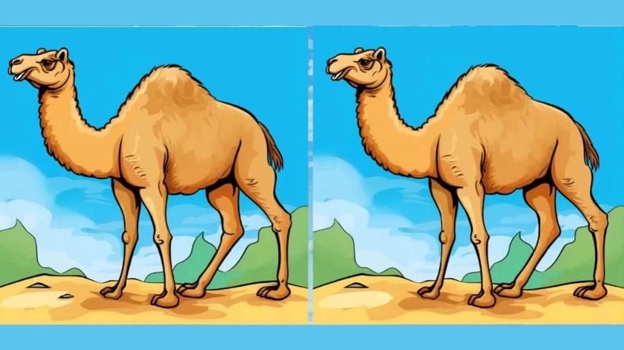 Rätsel / Fresherslive