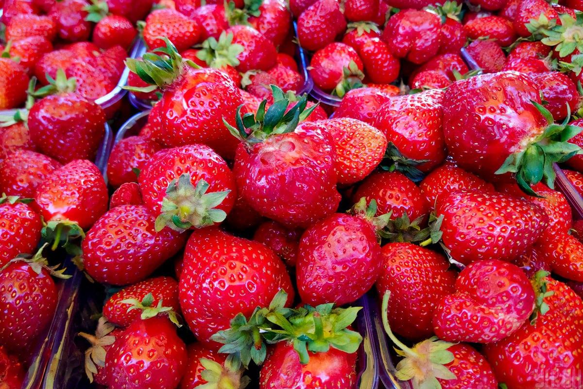 Finde eine Himbeere in nur 7 Sekunden / Collage mit Moje Foto