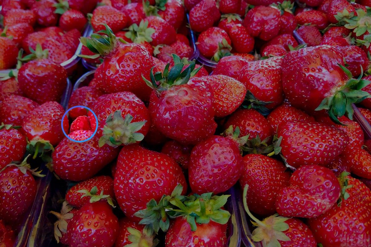 Die Himbeeren sind fast in der Mitte des Bildes / Collage mit Moje photo