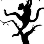 Bildtest: Was ist die verborgene Kraft deines Geistes?