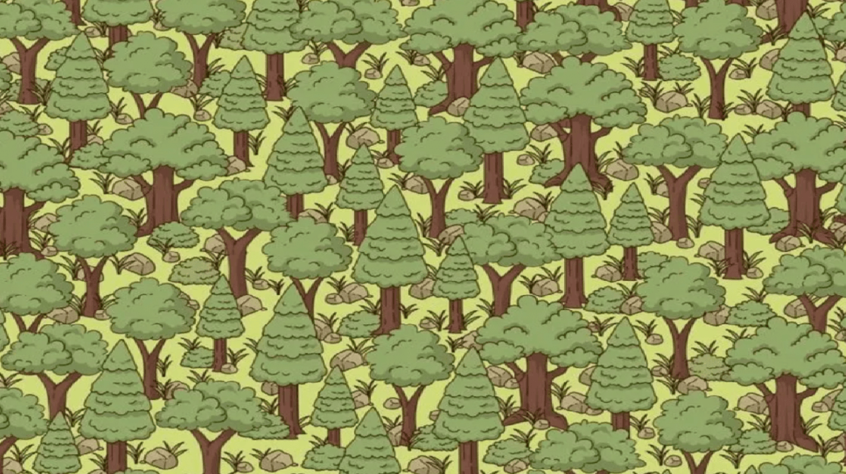 Foto von Jagran Josh