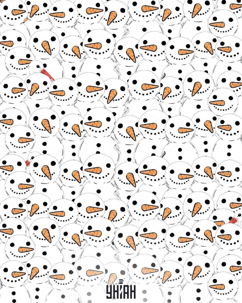 Finde 3 Störche unter Schneemännern in 11 Sekunden: eine verblüffende optische Täuschung