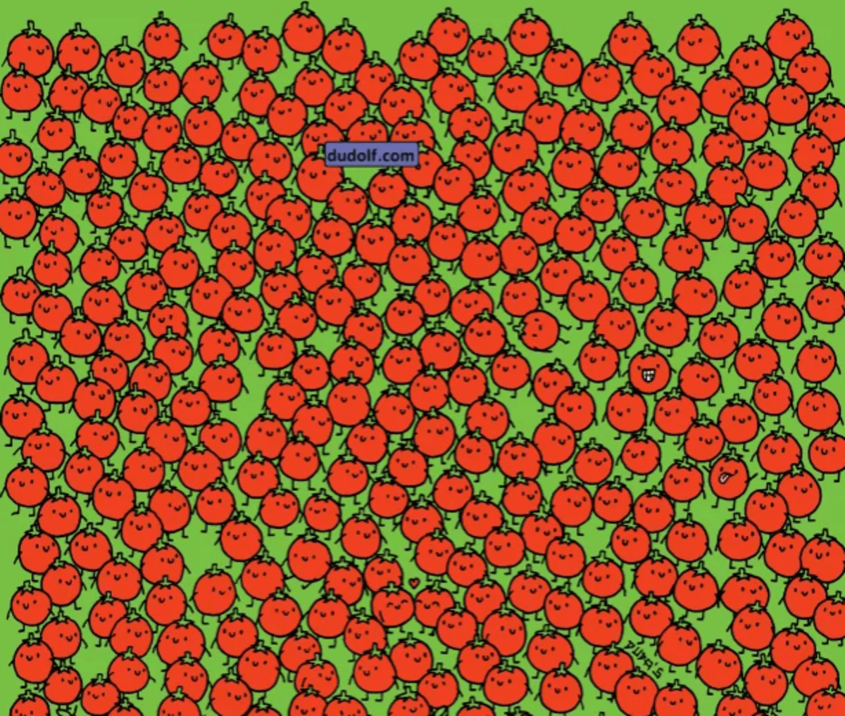 Versuche, die Äpfel so schnell wie möglich zu finden / Foto thedudolf.blogspot.com